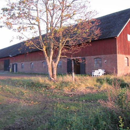 Stalemara Gard Krickan Fågelmara Exteriér fotografie