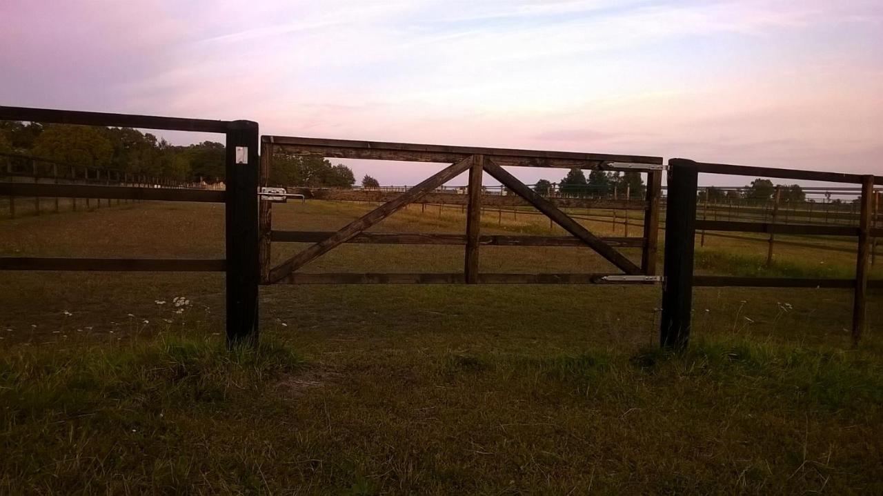 Stalemara Gard Krickan Fågelmara Exteriér fotografie