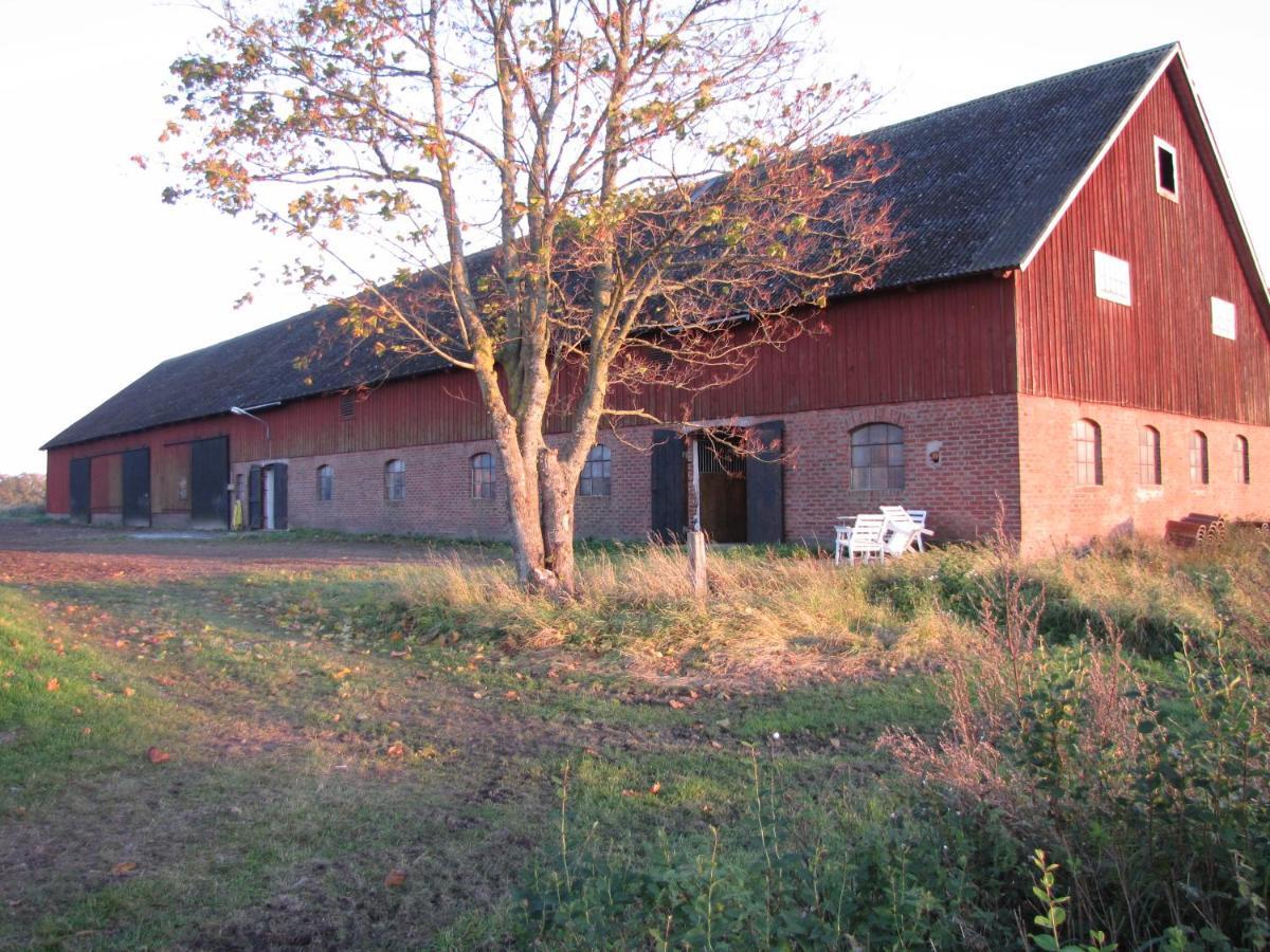 Stalemara Gard Krickan Fågelmara Exteriér fotografie